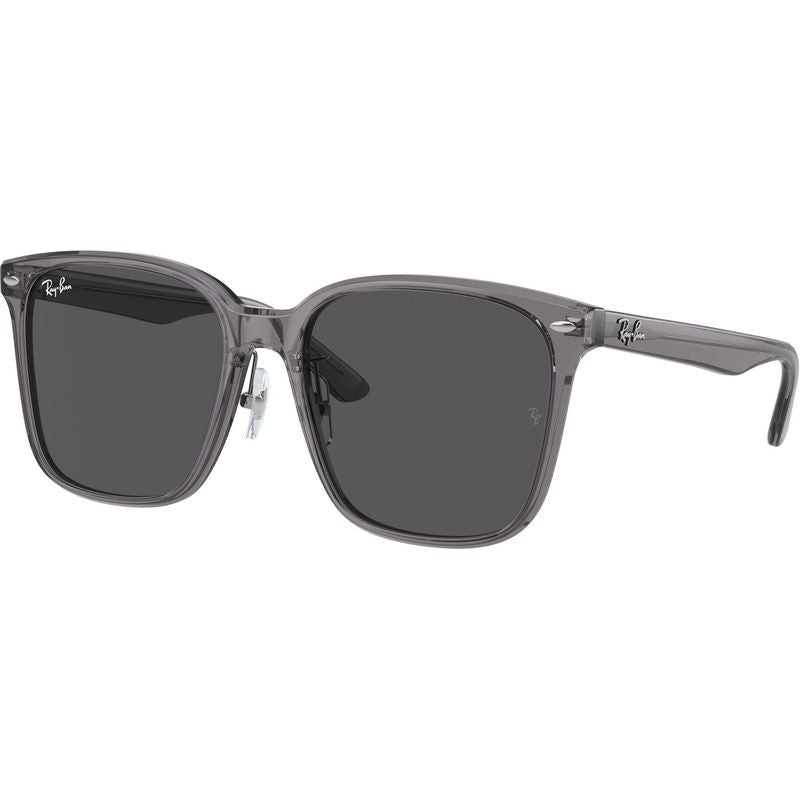RB2206D, Transparent Grey/Dark Grey Lenses