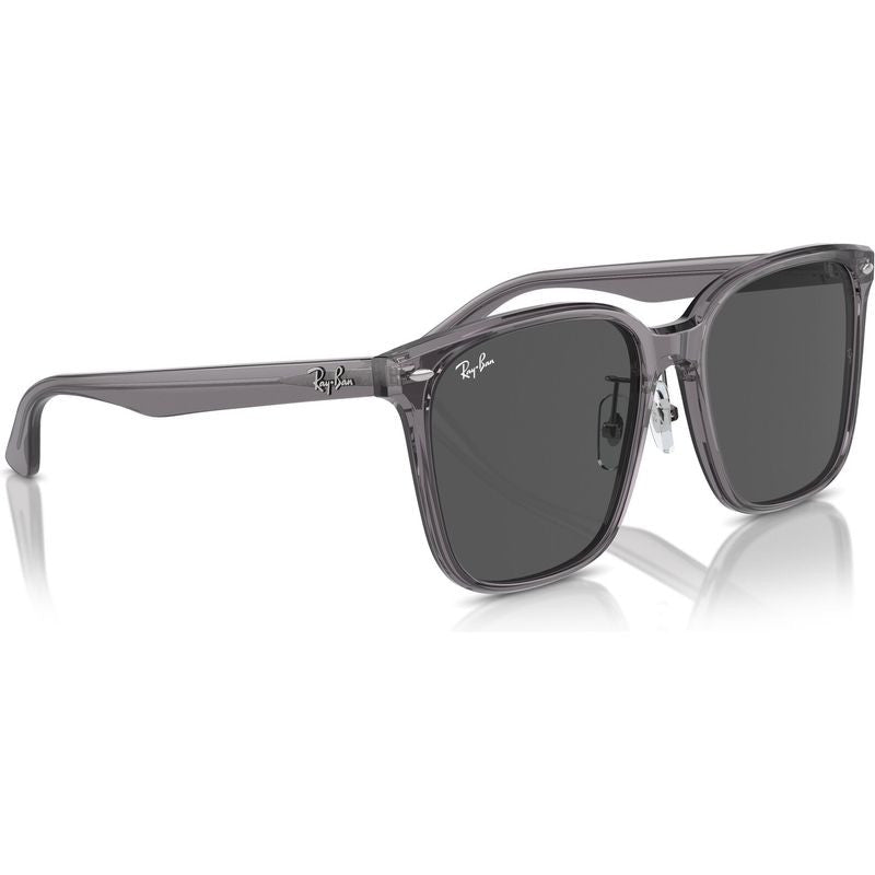 RB2206D, Transparent Grey/Dark Grey Lenses