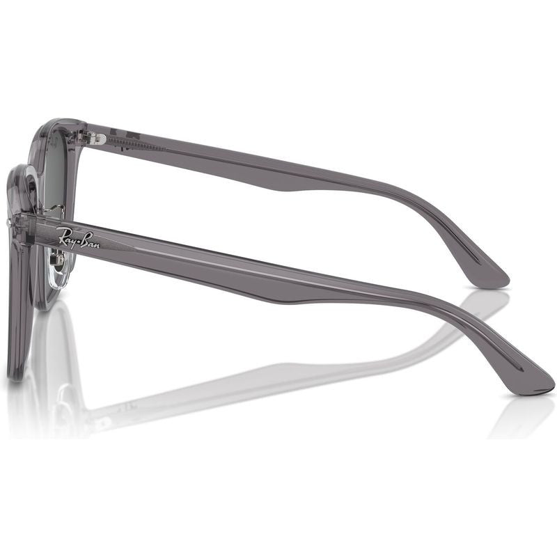 RB2206D, Transparent Grey/Dark Grey Lenses