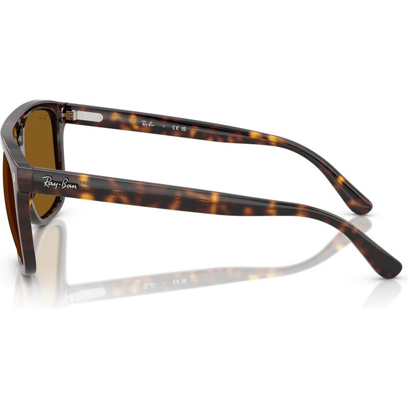 RB2213, Havana/Brown Glass Lenses 55 Eye Size