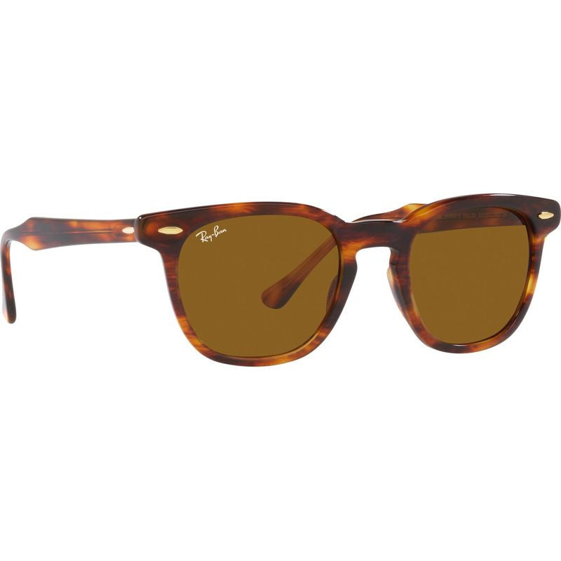 Hawkeye RB2298, Striped Havana/Brown Gradient Glass Lenses 52 Eye Size