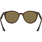 RB4305, Havana/Dark Brown Lenses