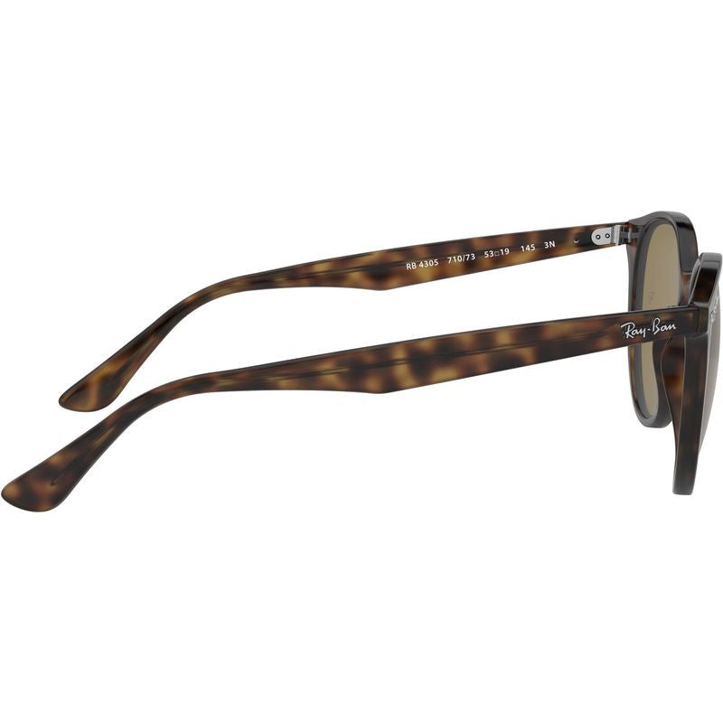 RB4305, Havana/Dark Brown Lenses