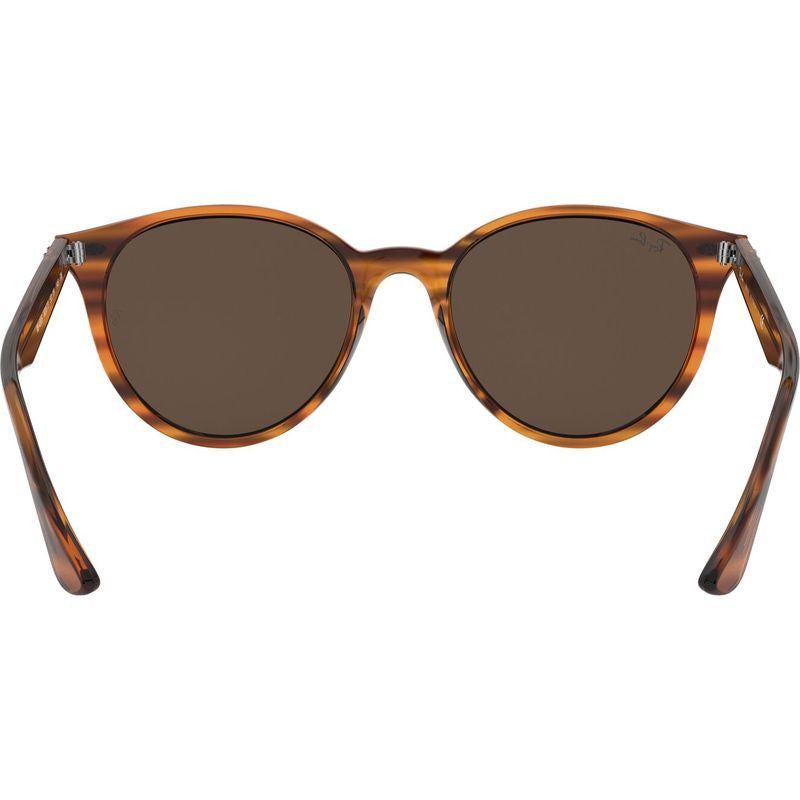 RB4305, Striped Red Havana/Dark Brown Lenses