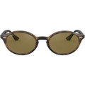 RB4315, Light Havana/Dark Brown Lenses