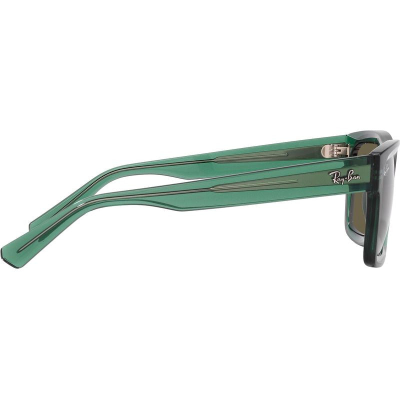 Warren RB4396, Transparent Green/Brown Lenses 54 Eye Size
