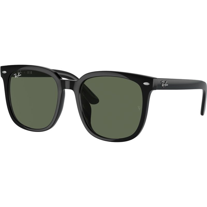 RB4401D, Black/Dark Green Lenses 57 Eye Size