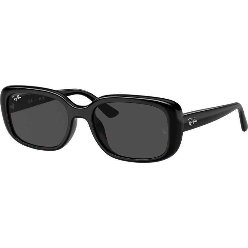 RB4421D, Black/Dark Grey Lenses