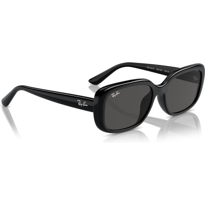 RB4421D, Black/Dark Grey Lenses