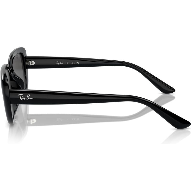 RB4421D, Black/Dark Grey Lenses