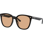 RB4423D, Black/Brown Lenses