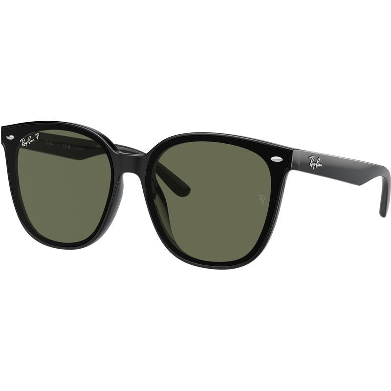 RB4423D, Black/Dark Green Polarised Lenses