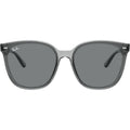 RB4423D, Transparent Grey/Grey Lenses