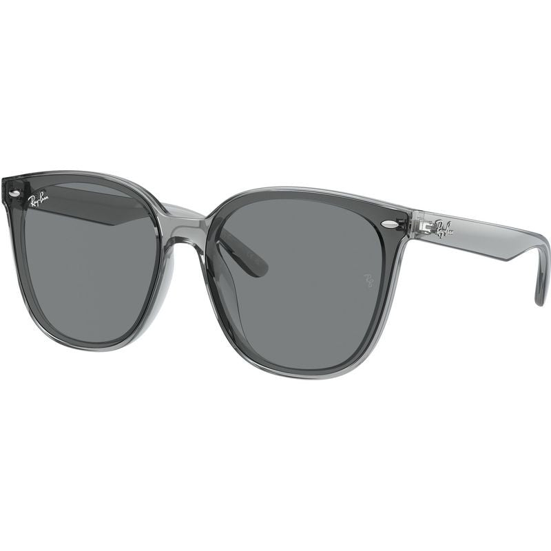 RB4423D, Transparent Grey/Grey Lenses