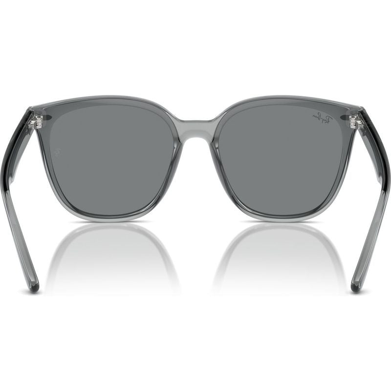 RB4423D, Transparent Grey/Grey Lenses