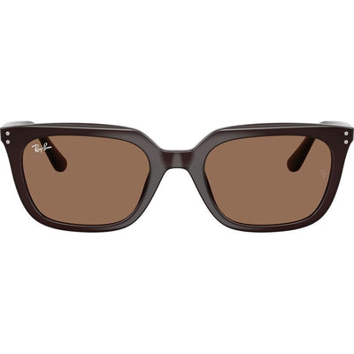 RB4439D, Opal Brown/Dark Brown Lenses