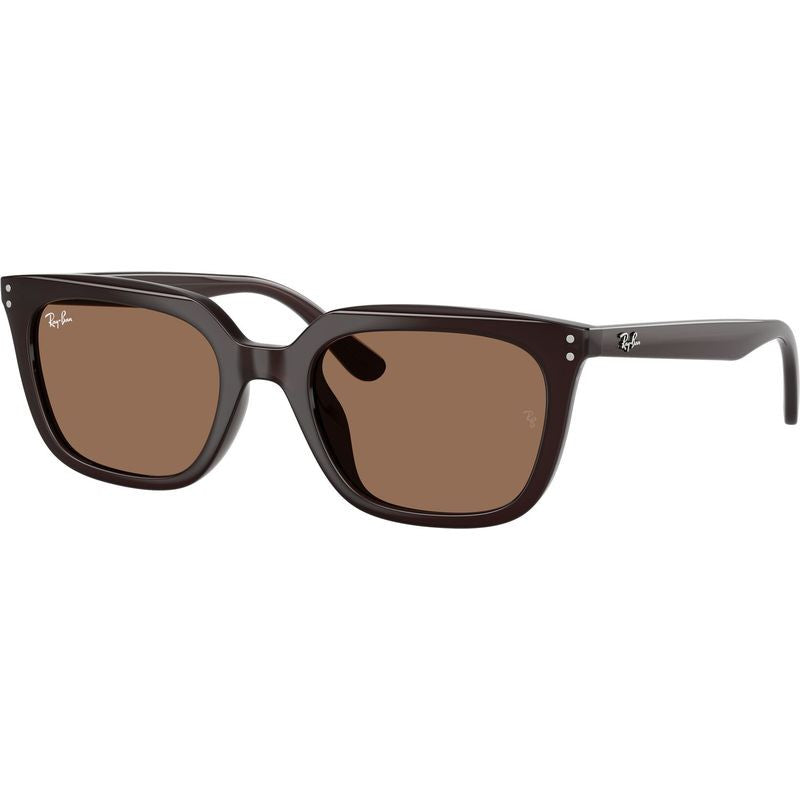 RB4439D, Opal Brown/Dark Brown Lenses