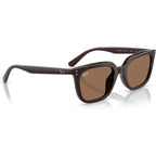 RB4439D, Opal Brown/Dark Brown Lenses