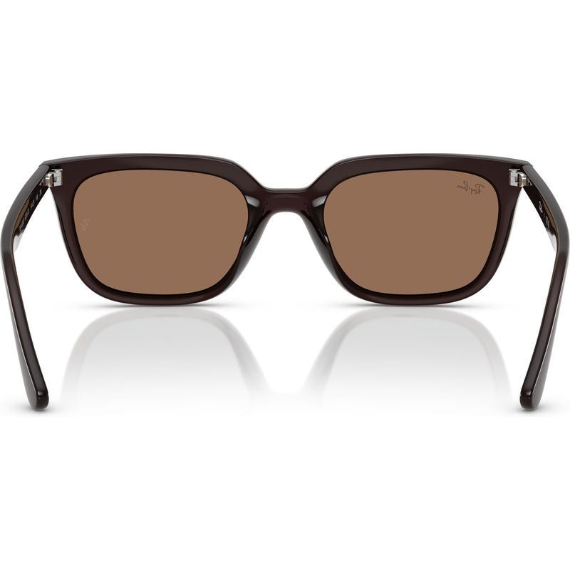 RB4439D, Opal Brown/Dark Brown Lenses
