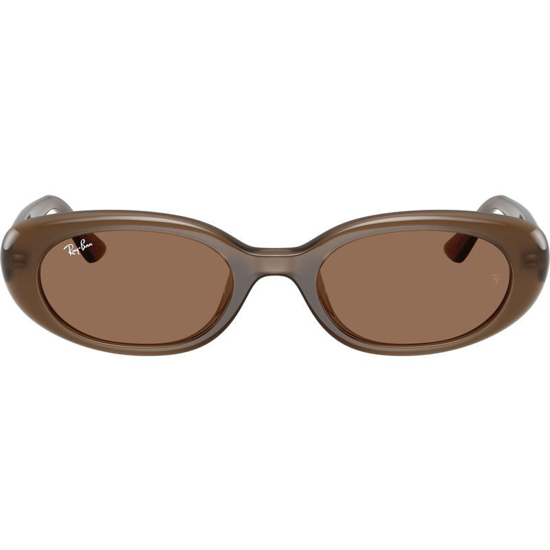 RB4441D, Opal Brown/Dark Brown Lenses