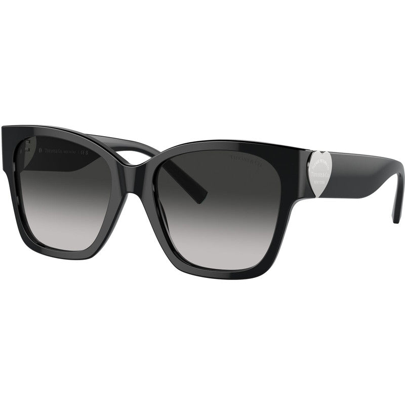 TF4216, Black/Grey Gradient Lenses