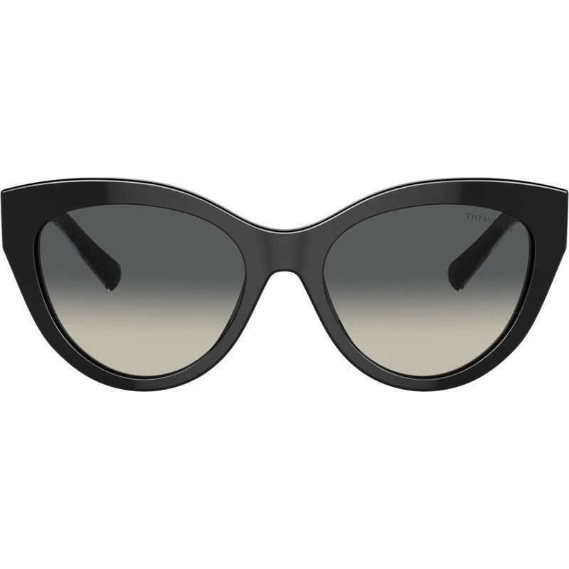 TF4220, Black/Grey Gradient Lenses
