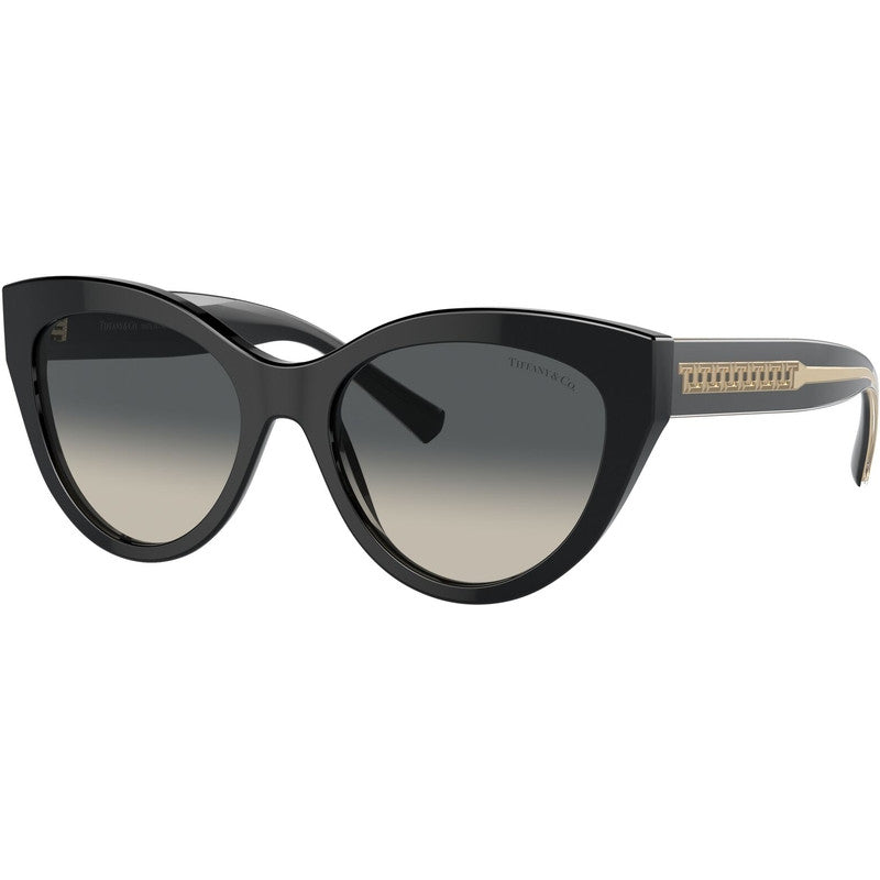 TF4220, Black/Grey Gradient Lenses