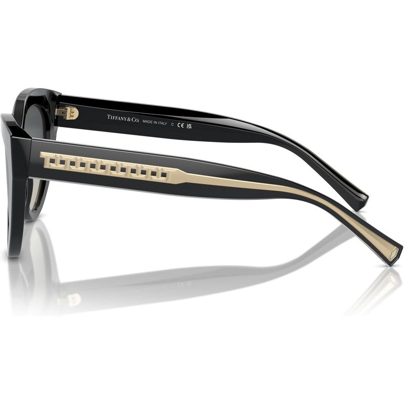 TF4220, Black/Grey Gradient Lenses