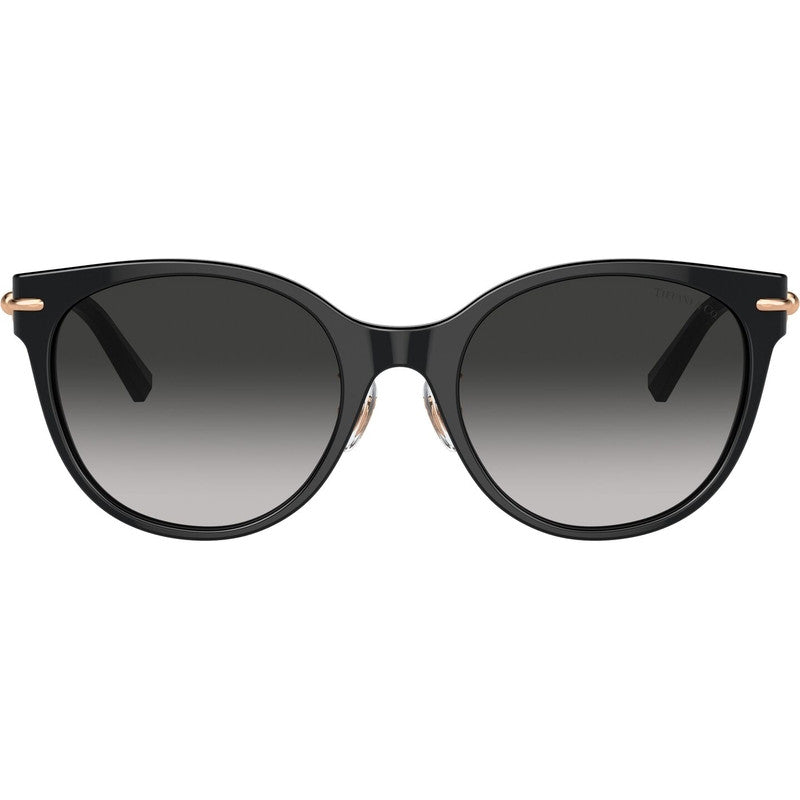 TF4223D, Black/Grey Gradient Lenses