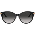 TF4223D, Black/Grey Gradient Lenses