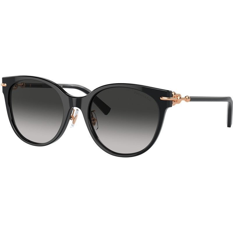 TF4223D, Black/Grey Gradient Lenses