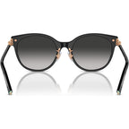 TF4223D, Black/Grey Gradient Lenses
