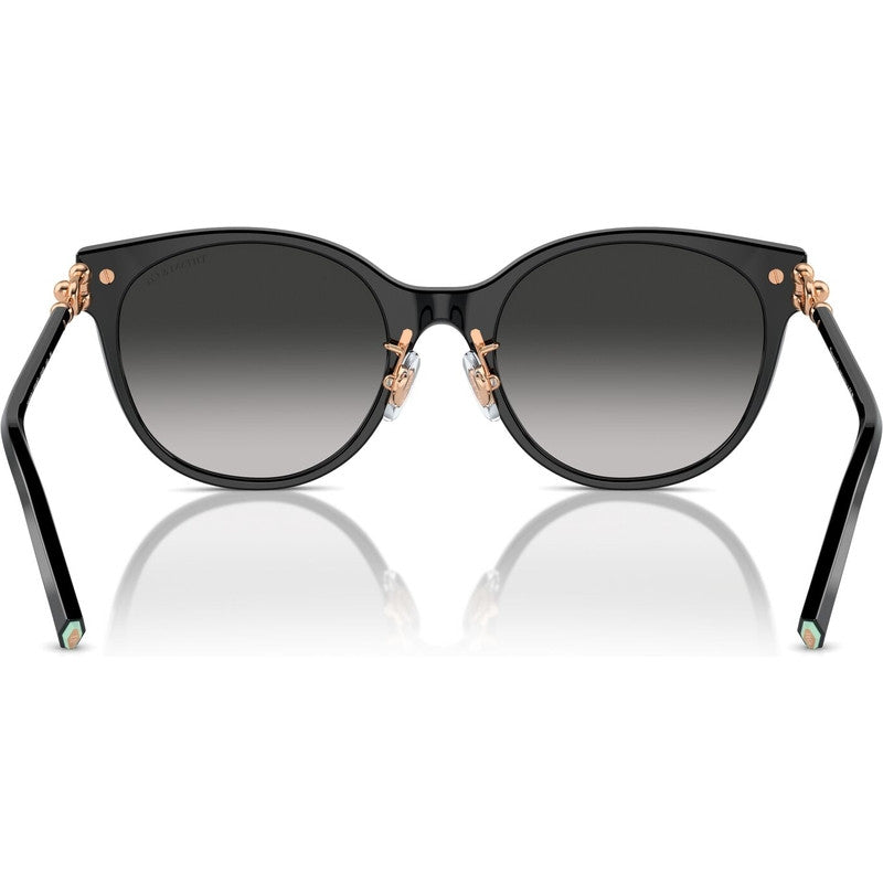 TF4223D, Black/Grey Gradient Lenses
