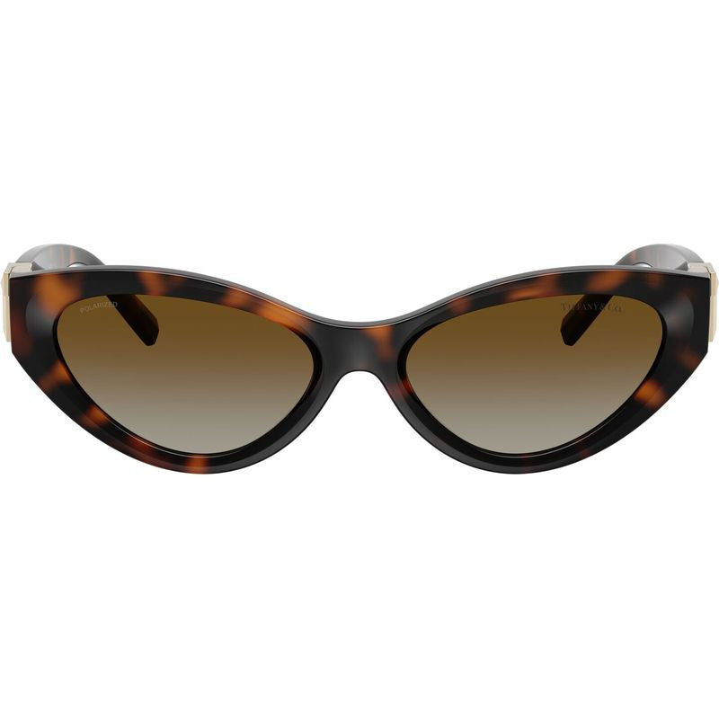 TF4225U, Havana/Brown Gradient Polarised Lenses