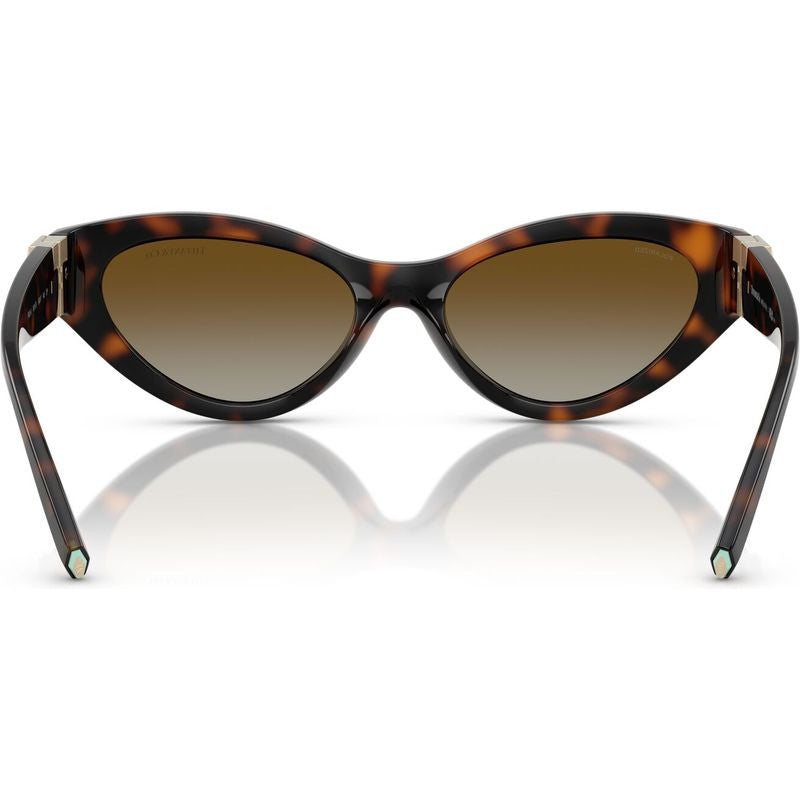 TF4225U, Havana/Brown Gradient Polarised Lenses