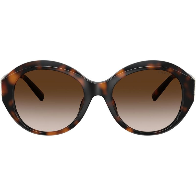 TF4227BU, Havana/Brown Gradient Lenses