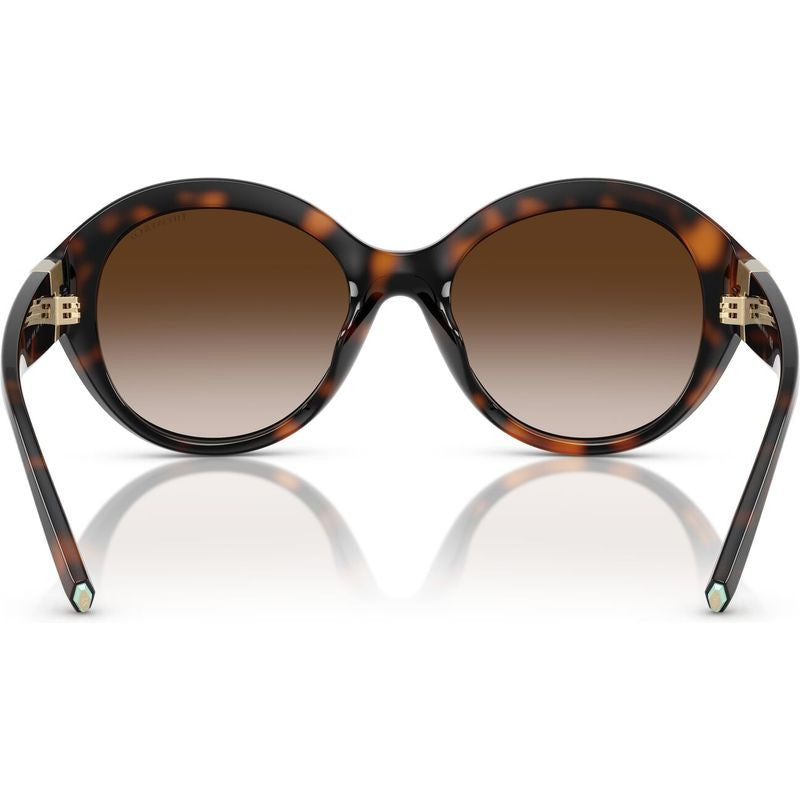 TF4227BU, Havana/Brown Gradient Lenses