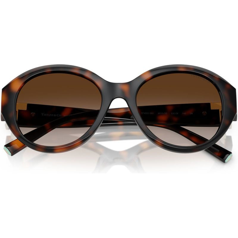 TF4227BU, Havana/Brown Gradient Lenses