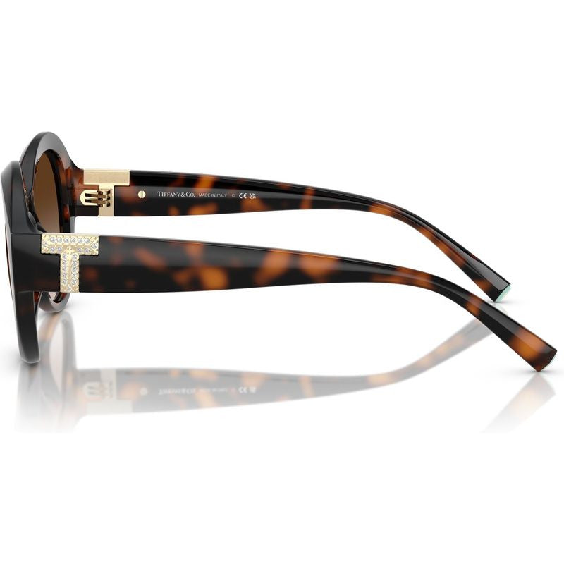 TF4227BU, Havana/Brown Gradient Lenses
