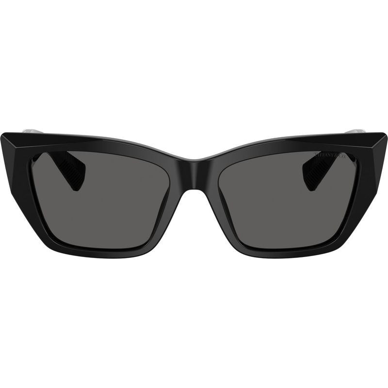 TF4230, Black/Dark Grey Lenses