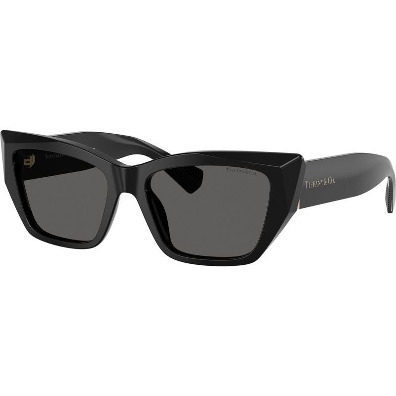 TF4230, Black/Dark Grey Lenses