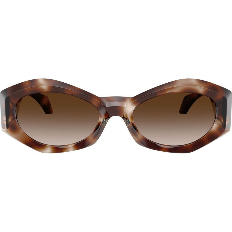 VE4466U, Havana/Brown Gradient Lenses