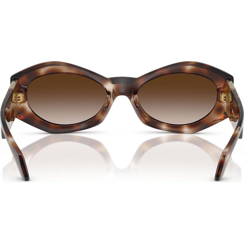 VE4466U, Havana/Brown Gradient Lenses