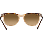 Eagleeye RB2398, Havana on Transparent Brown/Brown Gradient Polarised Glass Lenses