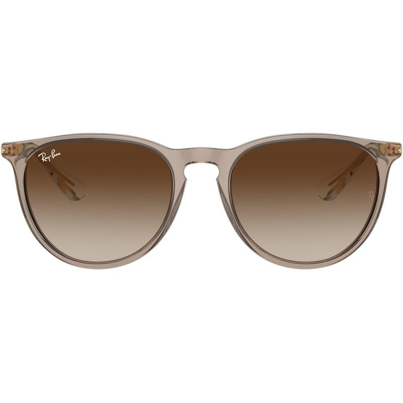 Erika Classic RB4171F, Transparent Light Brown/Brown Gradient Lenses
