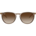 Erika Classic RB4171F, Transparent Light Brown/Brown Gradient Lenses