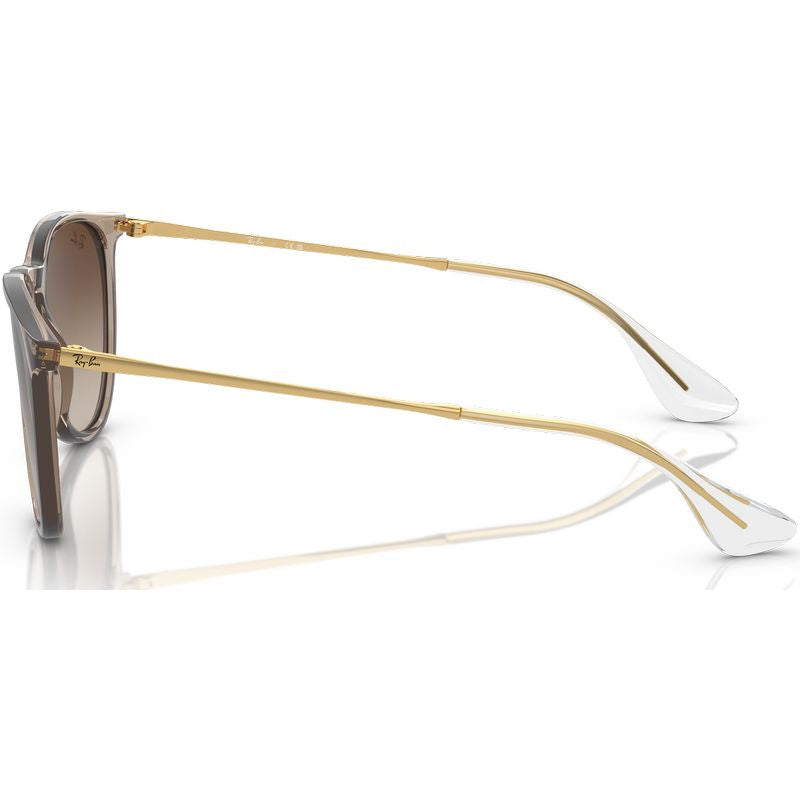 Erika Classic RB4171F, Transparent Light Brown/Brown Gradient Lenses