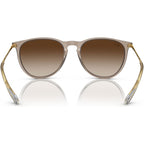 Erika Classic RB4171, Transparent Light Brown/Brown Gradient Lenses