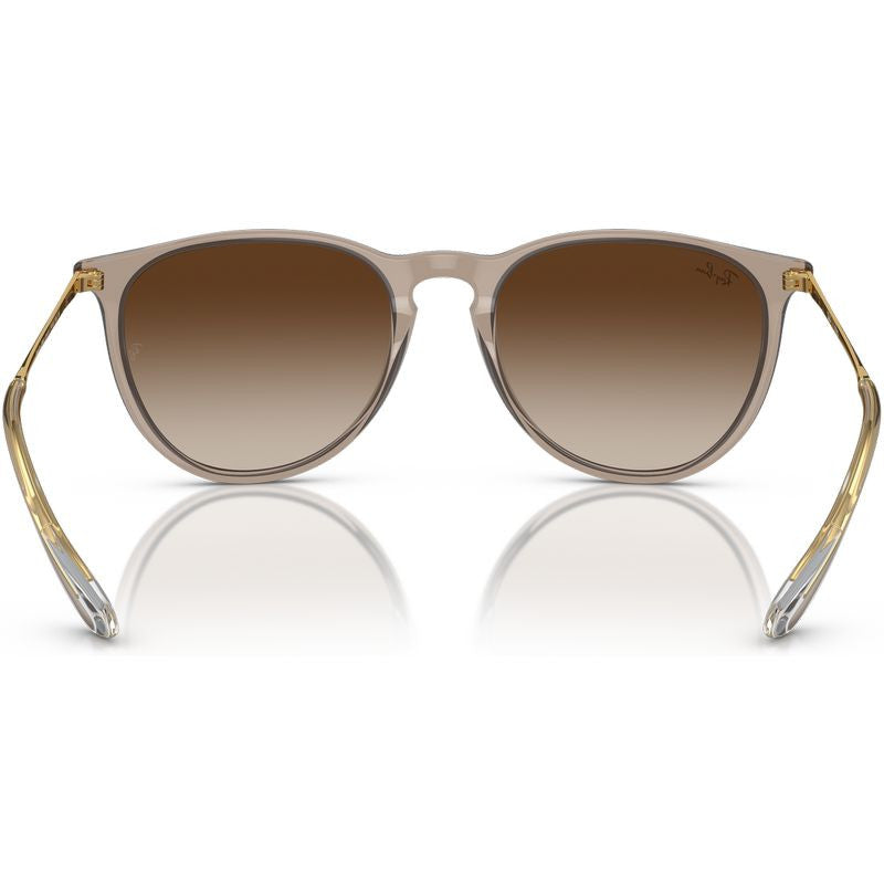 Erika Classic RB4171F, Transparent Light Brown/Brown Gradient Lenses