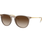 Erika Classic RB4171F, Transparent Light Brown/Brown Gradient Lenses